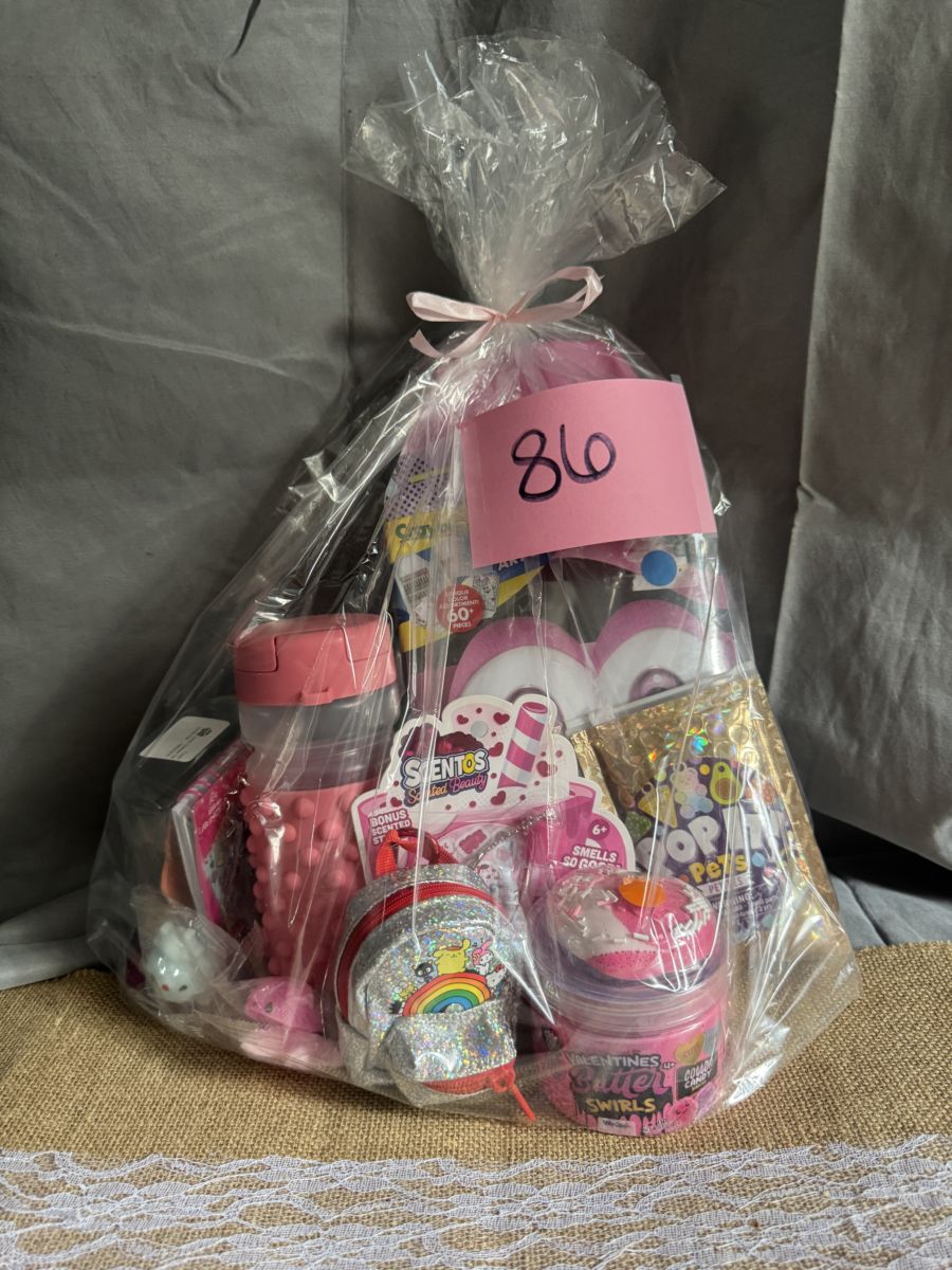 Raffle Basket #86: Pink Fun & Treats Basket