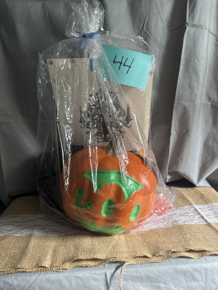 Raffle Basket #44: Hand-Painted Halloween Pumpkin
