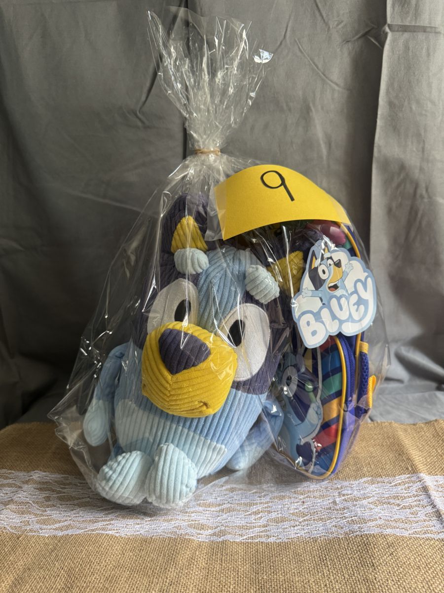 Raffle Basket #9: Buffalo Bills Cozy Fan Basket
