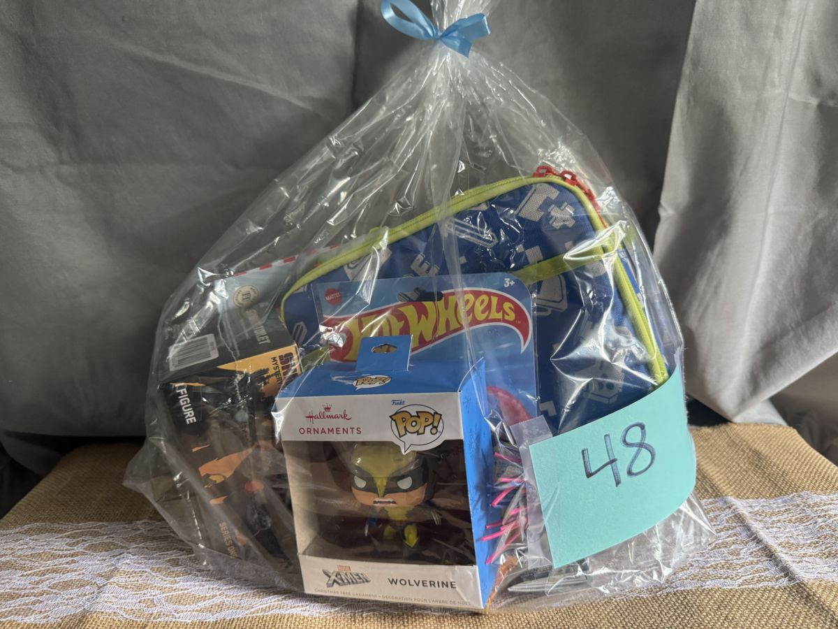 Raffle Basket #48: Hot Wheels Adventure Basket