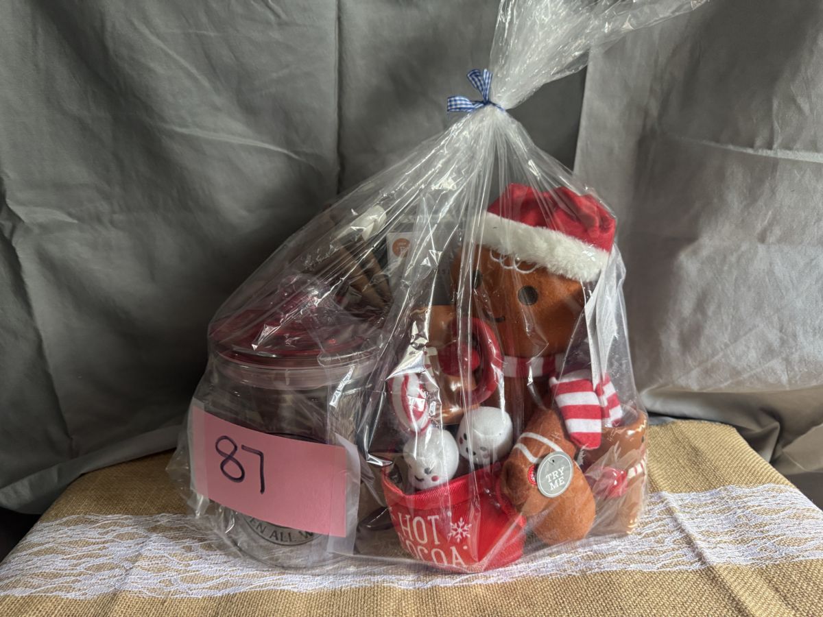Raffle Basket #87: Coca-Cola Collector Basket