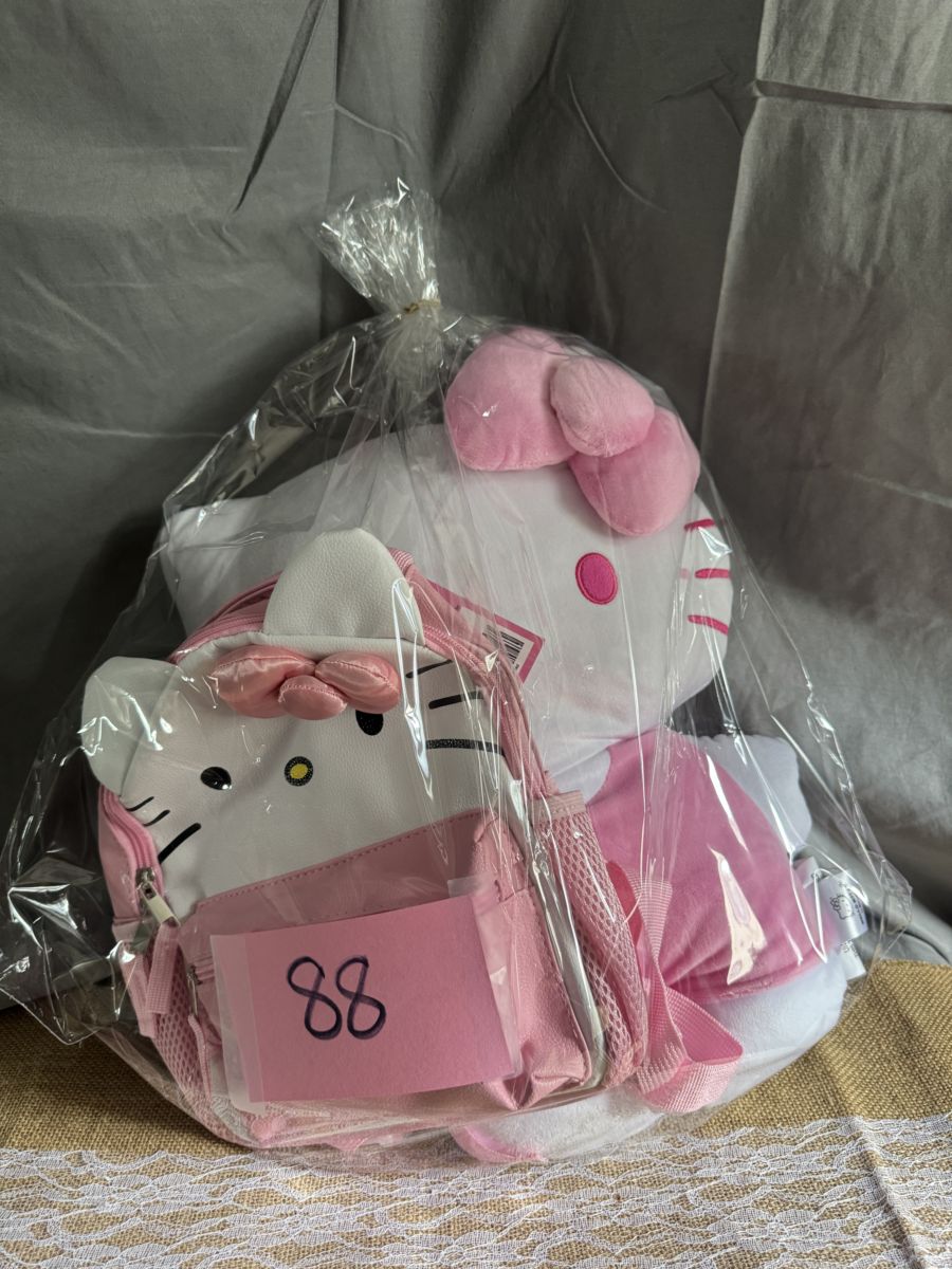 Raffle Basket #88: Pink Cat Cozy Collection