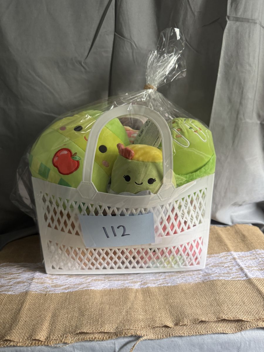 Raffle Basket #112: Kids Frog Play Set