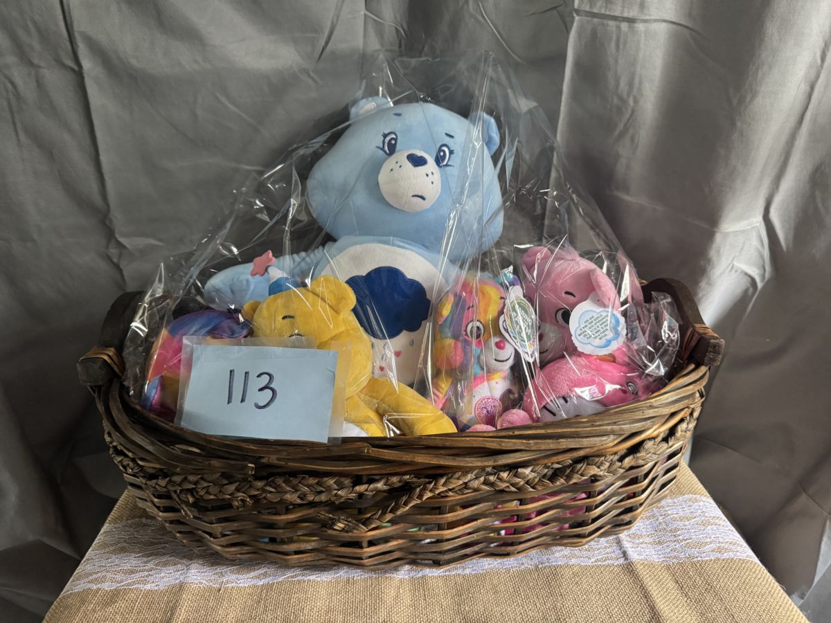Raffle Basket #113: Care Bears & Kids Favorites