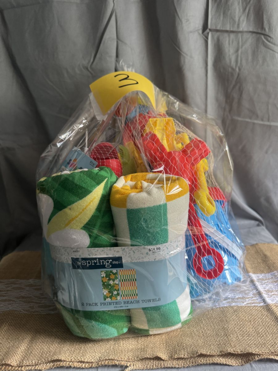 Raffle Basket #3: Summer Fun Beach Basket